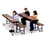 Mobile Convertible Folding Bench Unit.